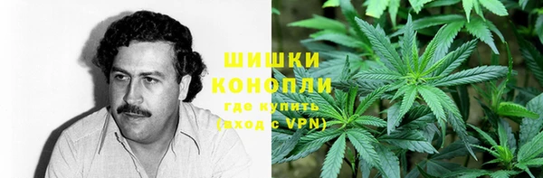 гидра Горняк