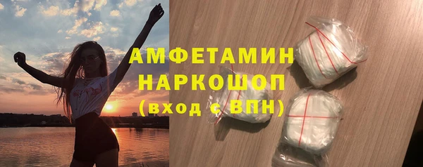 гидра Горняк
