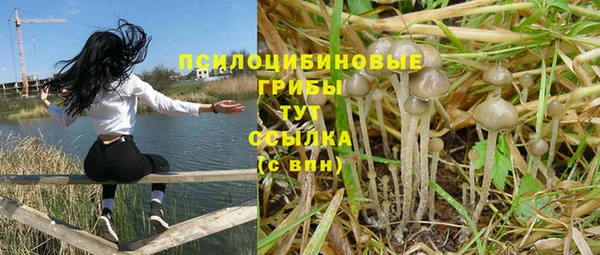 прущий лед Горнозаводск
