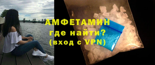 гидра Горняк