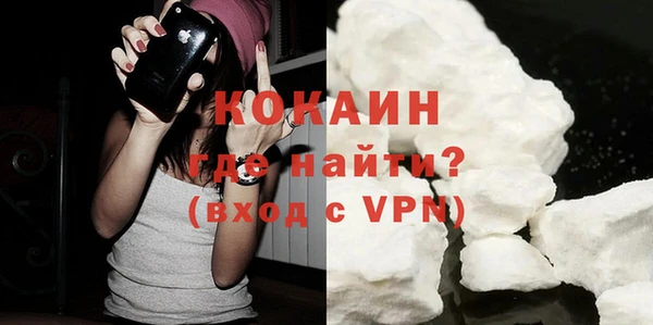 гидра Горняк