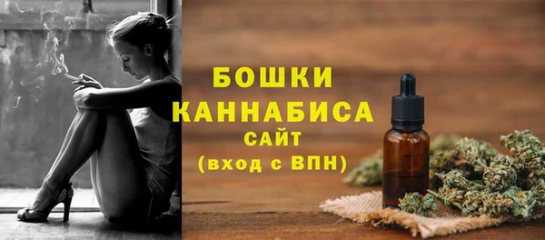 амф Гусь-Хрустальный