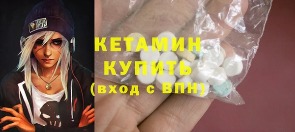 гидра Горняк