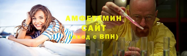 амф Гусь-Хрустальный