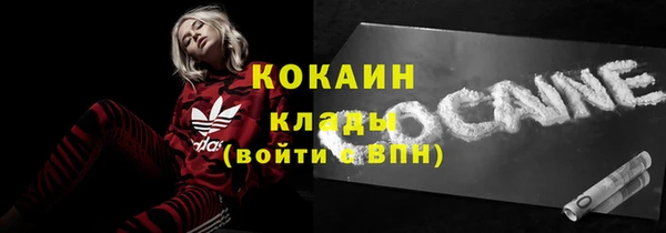 гидра Горняк