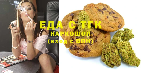 гидра Горняк