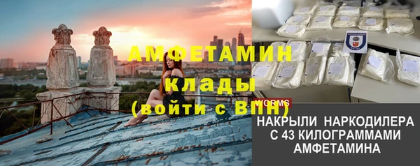 гидра Горняк