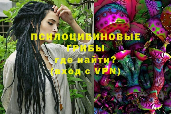 гидра Горно-Алтайск